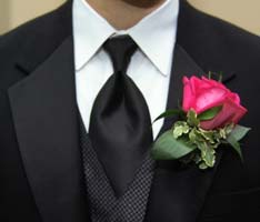 photo of a wedding toast