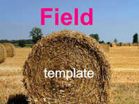field