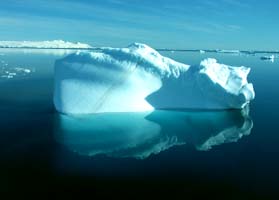 Persuasive speech on global warming