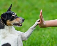 5 ways to build rapport with your audience