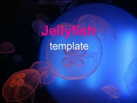 Jellyfish template thumbnail