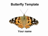 Butterfly Template thumbnail