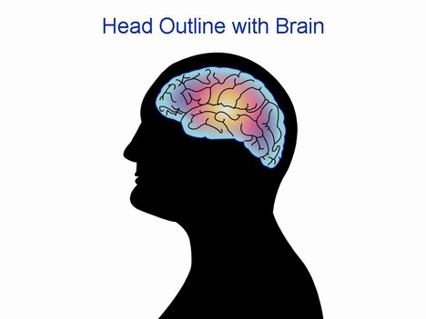 Head outline with brain