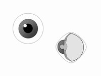 Eye Outlines Template