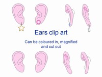 Ear Outlines Clip Art thumbnail