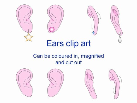 Ear Outlines Clip Art