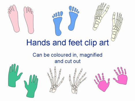 Hands and Feet Template