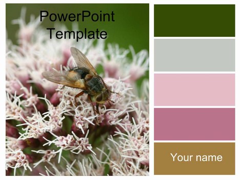 Bee on Flowers Template