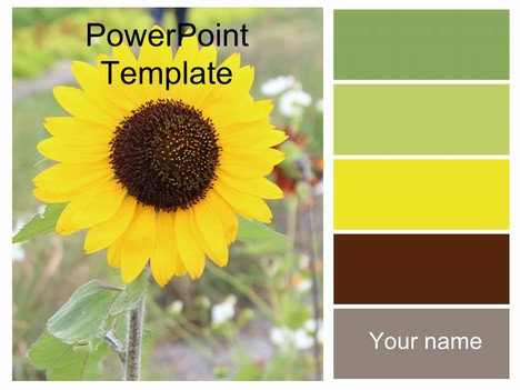 Pretty Sunflower Template