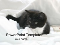 Kitten PowerPoint Template thumbnail