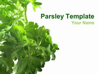 Parsley PowerPoint Template thumbnail