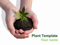 Plant PowerPoint Template thumbnail