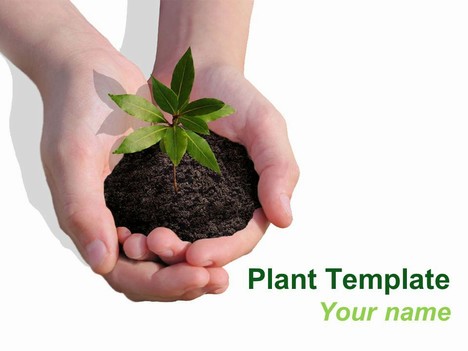 Plant PowerPoint Template