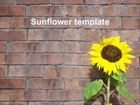 Sunflower PowerPoint Template 2 thumbnail