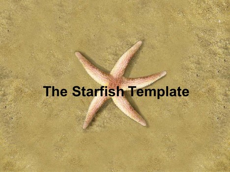 The Starfish PowerPoint Template (photo)