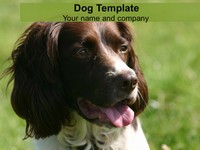 Dog PowerPoint Template thumbnail