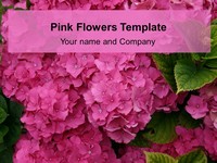 Pink Flower Template thumbnail
