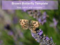 Brown Butterfly PowerPoint Template thumbnail