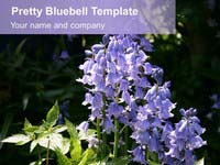 Free Pretty Bluebell PowerPoint Template thumbnail