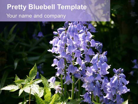 Free Pretty Bluebell PowerPoint Template