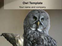 Free Owl PowerPoint Template thumbnail