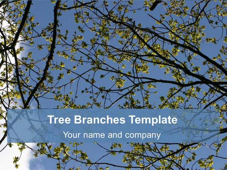 Free Tree Branches background Template