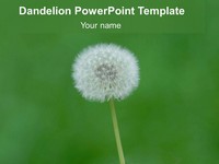 Free Dandelion PowerPoint Template thumbnail