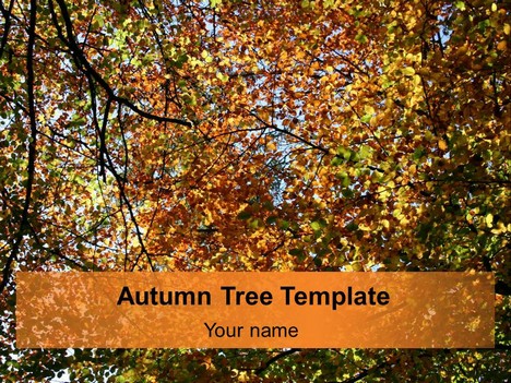 Autumn Tree Template