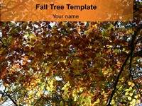 Tree in the Fall PowerPoint Template thumbnail