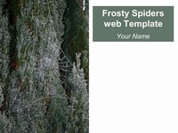 Frosty Spider’s Web Template thumbnail