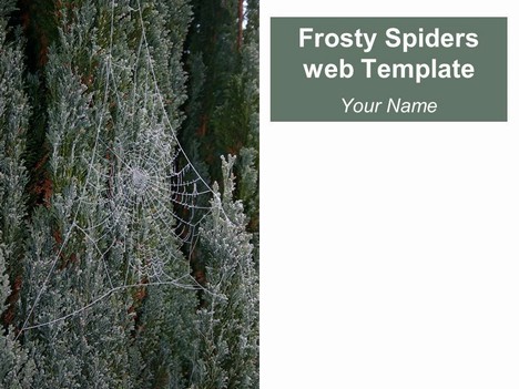 Frosty Spider’s Web Template