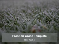 Frost on Grass Template thumbnail