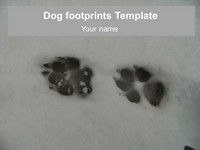 Dog Footprints Template thumbnail