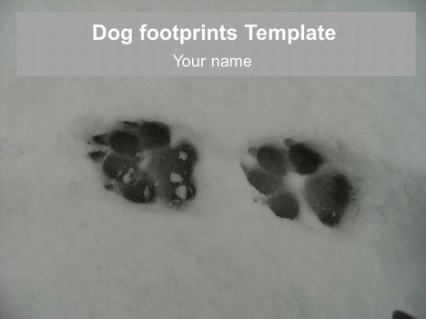 dog template footprints powerpoint templates animal snow