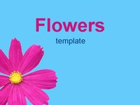Flowers 2