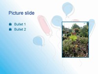 Birthday Balloons 1 PowerPoint Template slide4