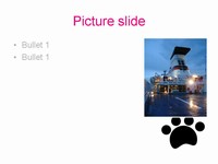 Paw prints template slide4
