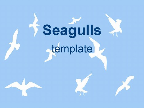 Powerpoint Slides Templates on Sea Gulls Ppt Template