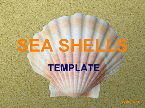 powerpoint presentation slides. Sea Shells PowerPoint Template