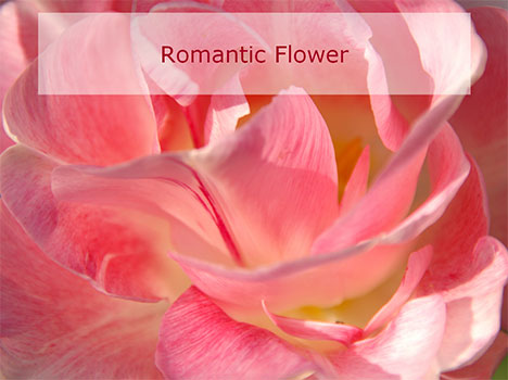 powerpoint presentation backgrounds. Romantic flowers PowerPoint
