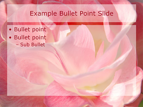 Powerpoint Slides Templates on Romantic Flowers Powerpoint Template Slide2