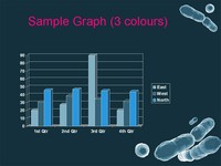 Bacteria Template slide4