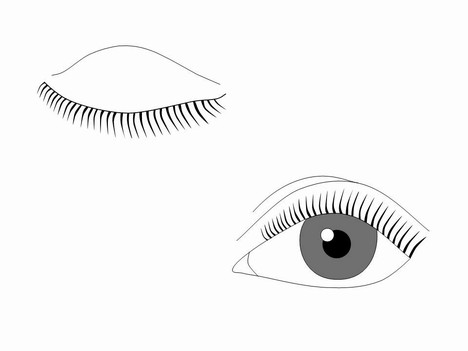 Eye Outlines Template slide2