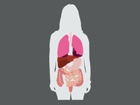 Body Parts Template slide4