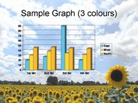 Free Sunflower Template slide4