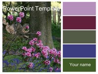 Woodland Floor Template