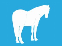 Horse Outlines Template slide3