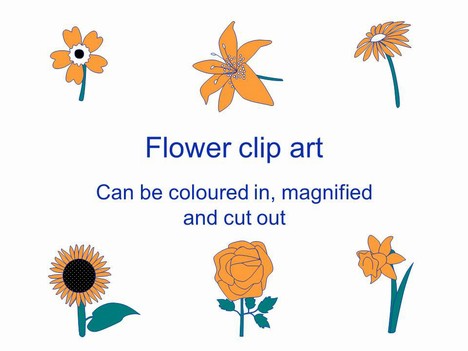 Flower Outlines Clip Art PowerPoint Template