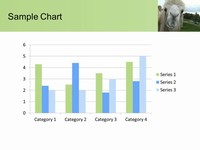 Camel PowerPoint Template slide3