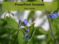 Blue Flower Template